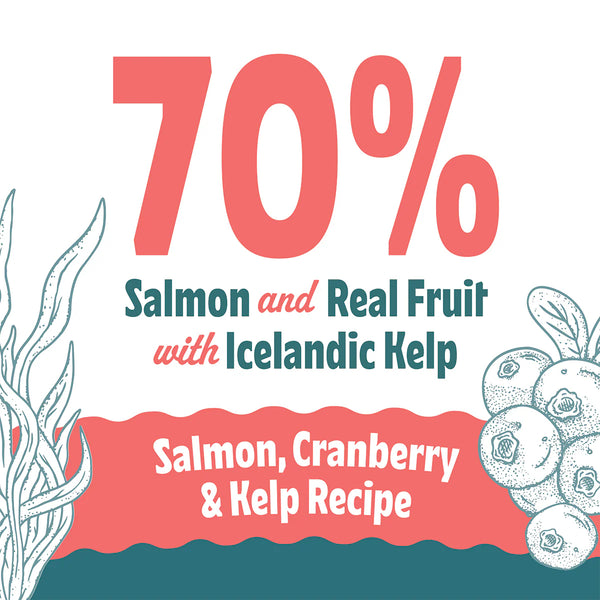 Icelandic+ Salmon, Cranberry & Kelp Recipe Soft & Chewy Bites Dog Treats