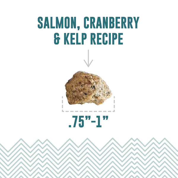 Icelandic+ Salmon, Cranberry & Kelp Recipe Soft & Chewy Bites Dog Treats