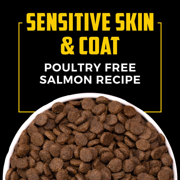 Sportsman's Pride Field Master Sensitive Skin & Coat Poultry Free Salmon Recipe Dry Dog Food, additional view 3