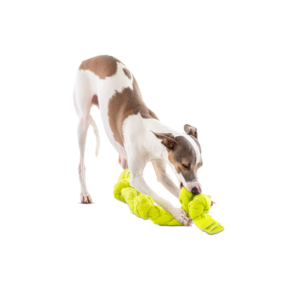 GURU Squeaking Tennis Snuffle Rope Dog Toy, additional view 4