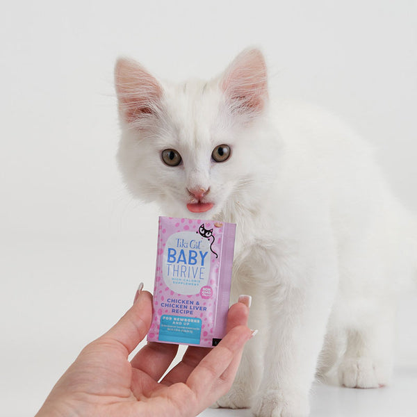 Tiki Cat Baby Thrive Chicken & Chicken Liver Kitten Supplement, additional view 3