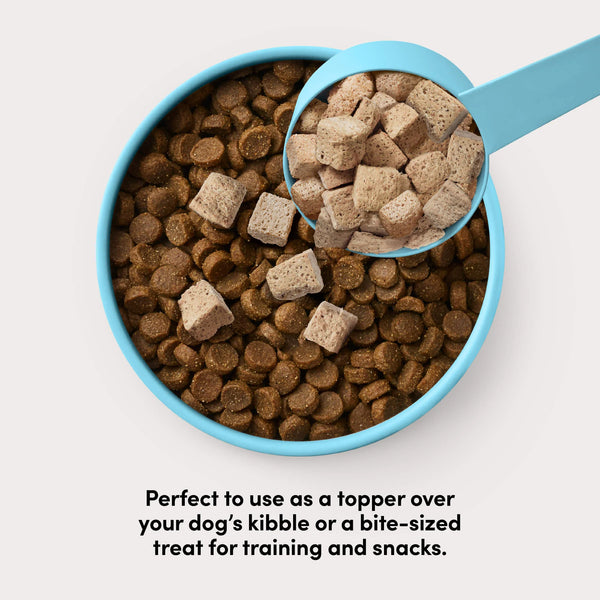 Animals Like Us Freeze-Dried RawMix100 Beef Recipe Dog Food or Topper