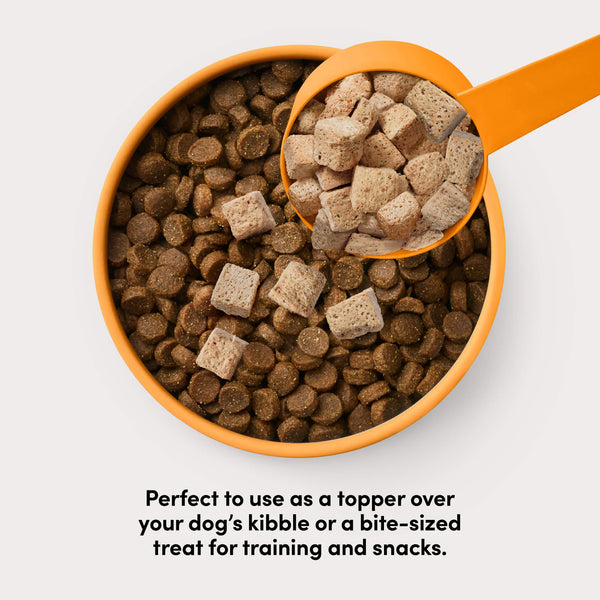 Animals Like Us Freeze-Dried Beef Dog Food Topper or Treats