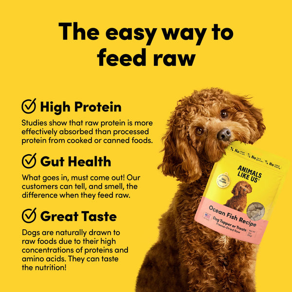 Animals Like Us Freeze-Dried Ocean Fish Recipe Dog Food Topper or Treats