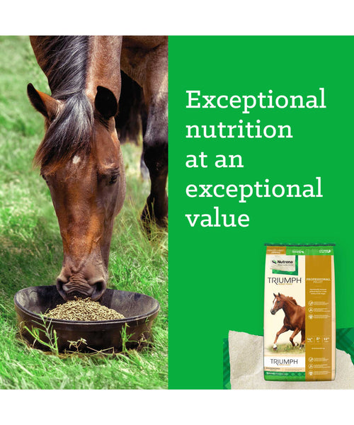 Nutrena Triumph Professional Pellet Horse Feed (Special Order), additional view 2