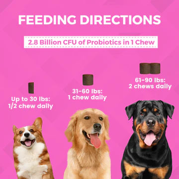 Progility Pre & Probiotics with Enzymes Soft Chews for Dogs
