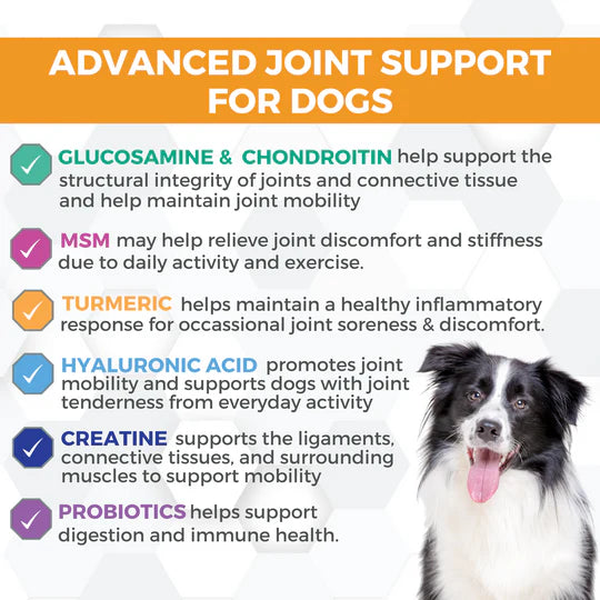 Progility Hip & Joint with Hyaluronic Acid Soft Chews for Dogs