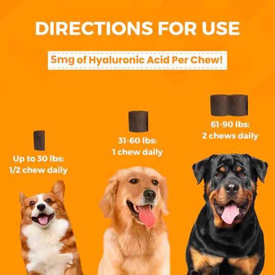 Progility Hip & Joint with Hyaluronic Acid Soft Chews for Dogs