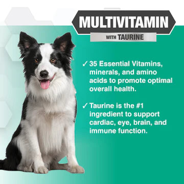 Progility Multi-Vitamin with Taurine Soft Chews for Dogs