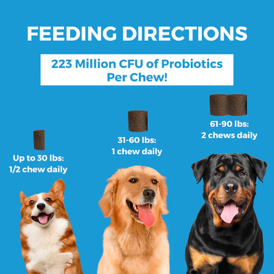 Progility Skin & Coat with Krill Oil Soft Chews for Dogs