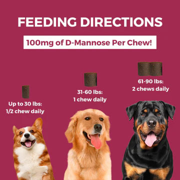 Progility Urinary Support with D-Mannose Soft Chews for Dogs