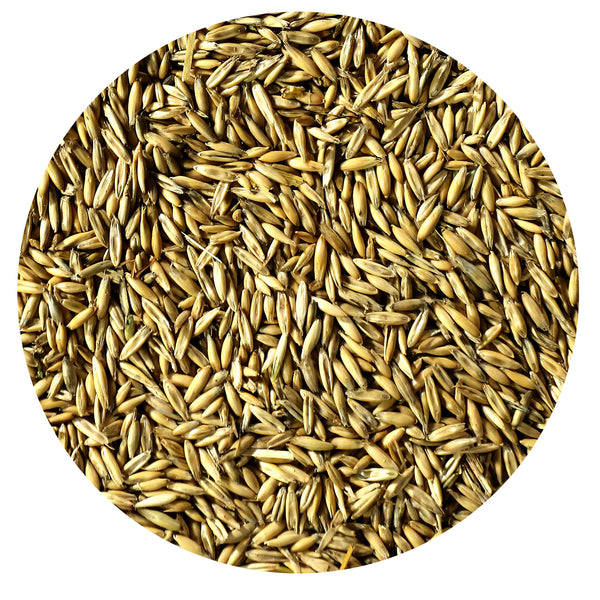 Albright Mill Whole Oats Picture