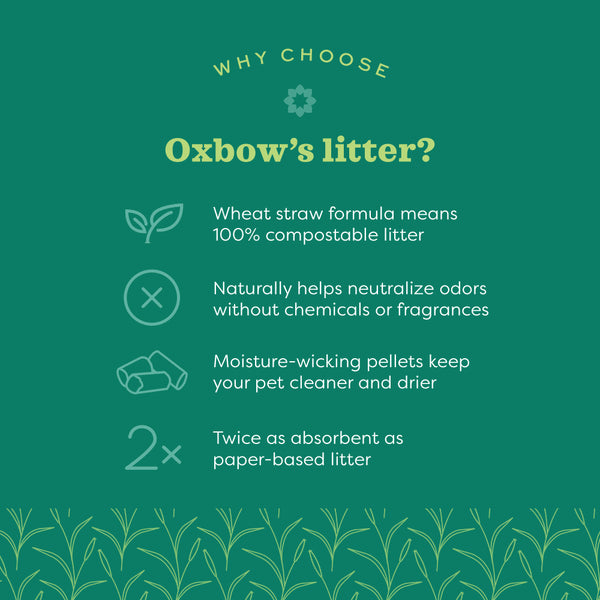 Oxbow Ecostraw Small Animal Bedding