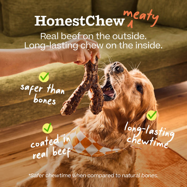 Woof HonestChew Meaty Antler Chew Toy, additional view 1
