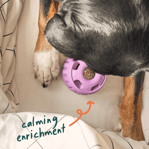 Woof Pupsicle Calming Wellness Pops, additional view 3