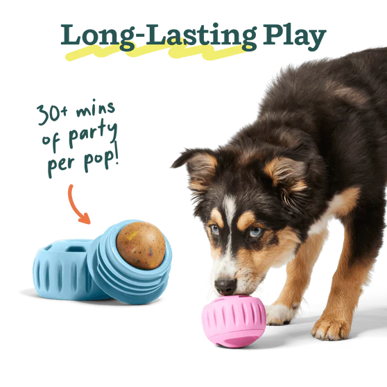 Woof Pupsicle Birthday Cake Dog Treats
