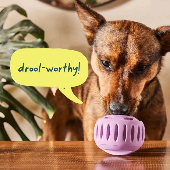 Woof Pupsicle Treat Holder Dog Toy