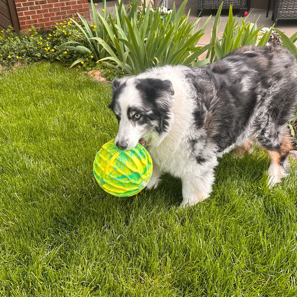 KONG Flexball Sport Ball Dog Toy, additional view 1