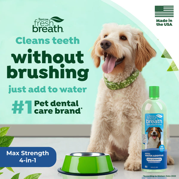 TropiClean Fresh Breath Max Strength Dental Water Additive for Dogs, additional view 2