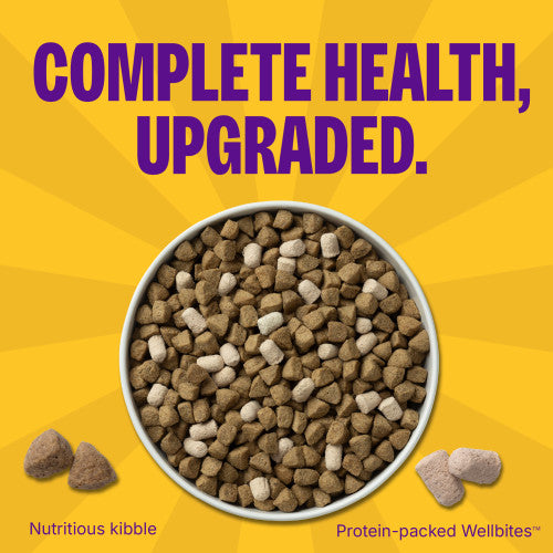 Wellness Complete Health+ Chicken & Oatmeal Dry Dog Food, additional view 2