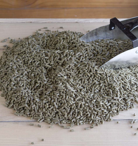 Close-up of Triple Crown Balancer Gold pellets, soy free and molasses free horse ration balancer