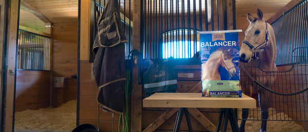 Triple Crown Balancer Gold, a fortified ration balancer horse feed for easy keepers, ponies and miniature horses
