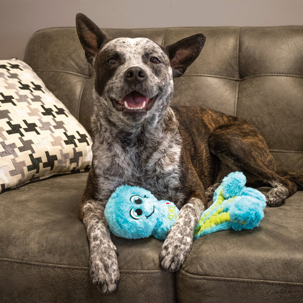 KONG Wubba Octopus Dog Toy, additional view 1
