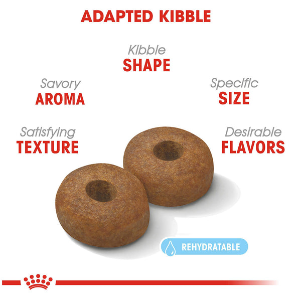 Royal Canin Large Aging 8+ Dry Dog Food, additional view 3