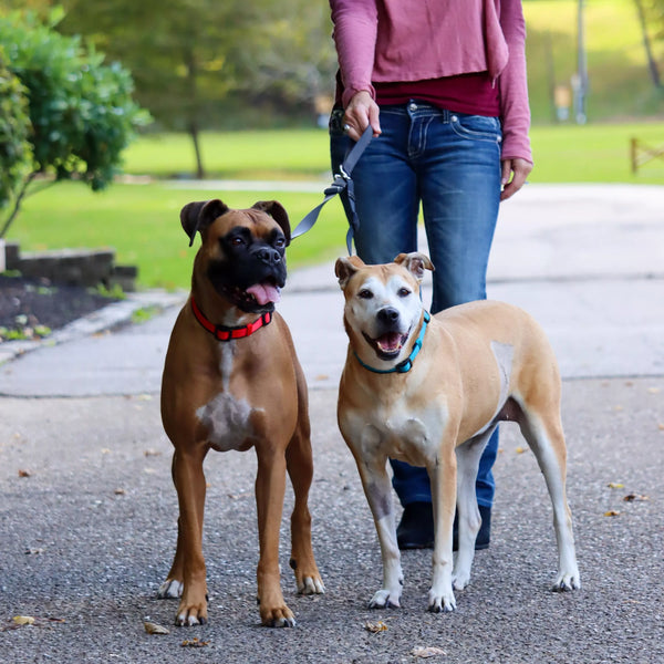 Coastal 2 Dog Walker Tangle-Free Adjustable Leash, additional view 2