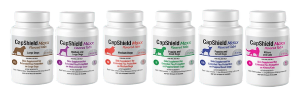 Complete CapShield Maxx product line showing all weight-based variants for puppies, small, medium, large dogs and kittens/cats