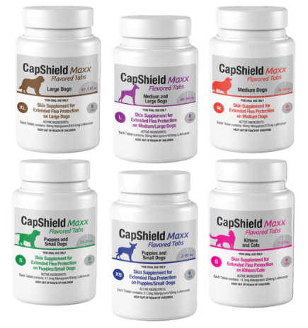 Complete CapShield Maxx product line showing all weight-based variants for puppies, small, medium, large dogs and kittens/cats