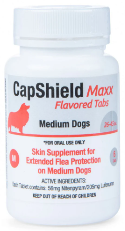 CapShield Maxx Flavored Tabs M for medium dogs 26-45 lbs, 6 count beef-flavored monthly flea protection tablets