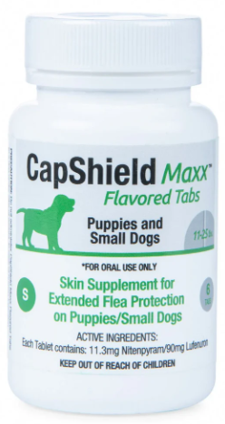 CapShield Maxx Flavored Tabs S for puppies and small dogs 11-25 lbs, 6 count beef-flavored flea protection tablets
