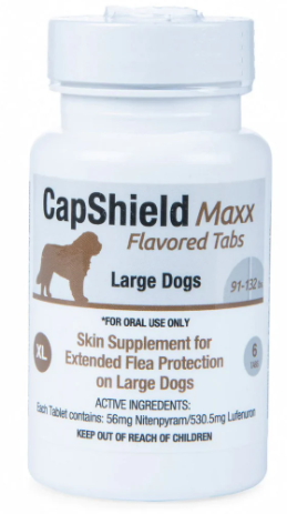 CapShield Maxx Flavored Tabs XL for large dogs 91-132 lbs, 6 count beef-flavored monthly flea protection tablets