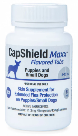 CapShield Maxx Flavored Tabs XS for puppies and small dogs 2-10 lbs, 6 count beef-flavored flea protection tablets