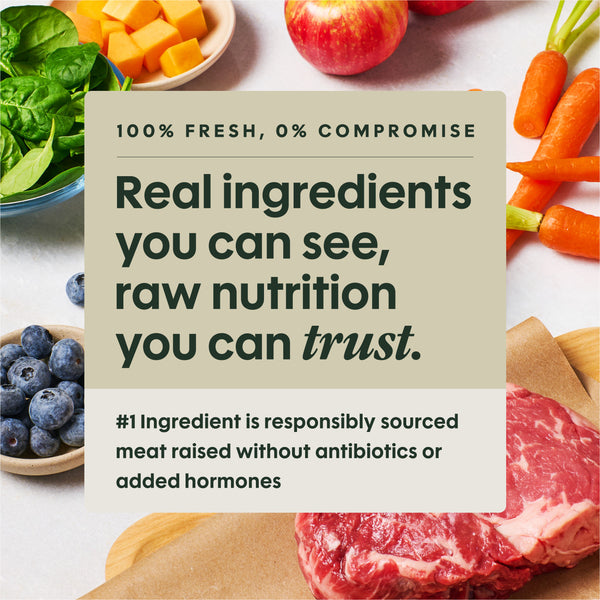 Instinct FreshRaw Meals Sampler Pack Dog Food