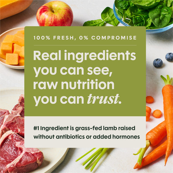 Instinct FreshRaw Meals Grass-Fed Lamb Recipe Dog Food