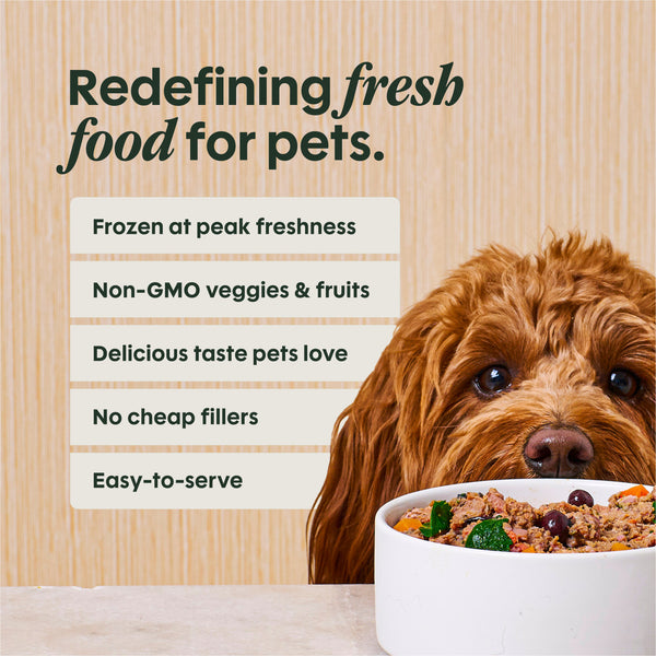 Instinct FreshRaw Meals Grass-Fed Beef Recipe Dog Food