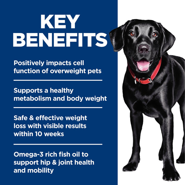 Hill's Science Diet Adult Perfect Weight & Joint Support Large Breed Dry Dog Food, additional view 3