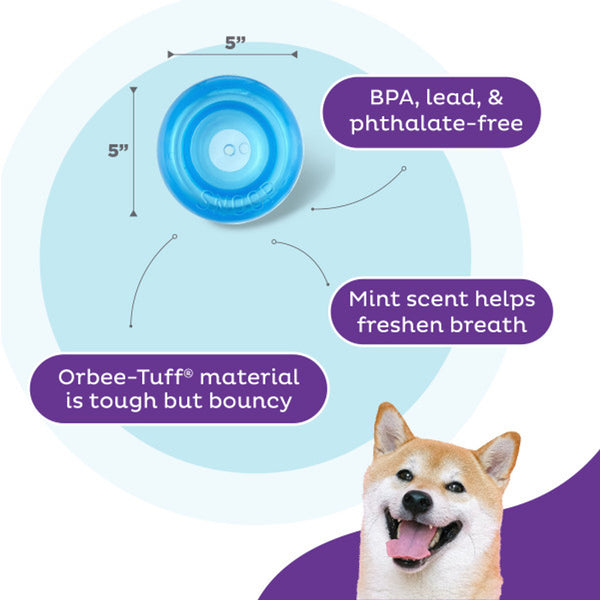 Outward Hound Orbee-Tuff Snoop Interactive Treat Dispensing Dog Toy