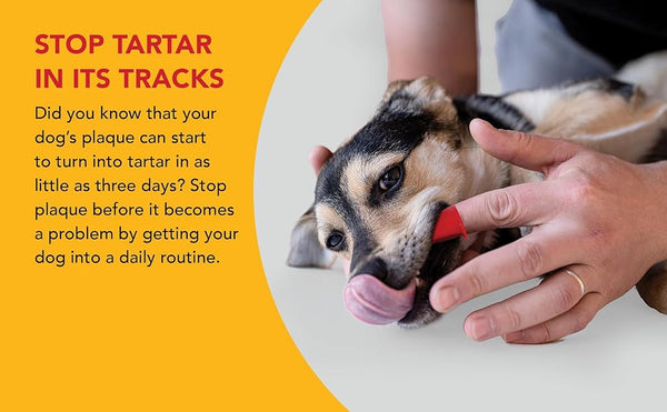 Petrodex Enzomatic Dental Care Toothpaste for Dogs, stop tartar in its tracks graphic with a dog