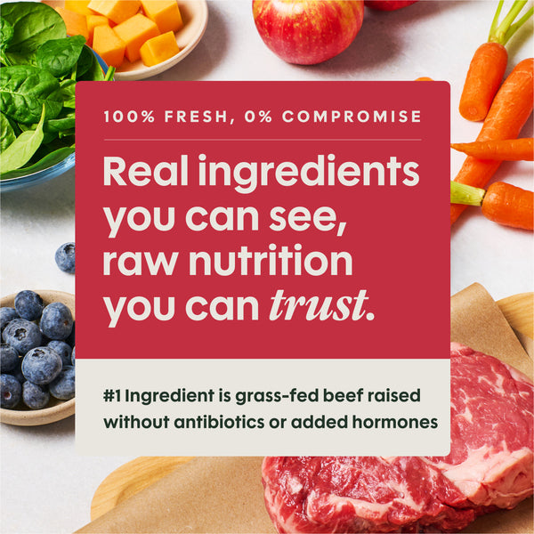 Instinct FreshRaw Meals Grass-Fed Beef Recipe Dog Food
