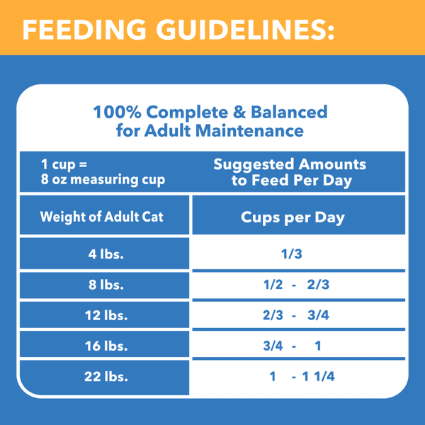 Iams Healthy Enoyment Adult Chicken & Salmon Dry Cat Food