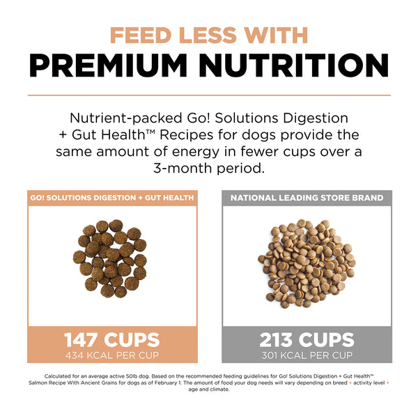 GO! Solutions Digestion + Gut Health Salmon with Grains Dry Dog Food, additional view 3