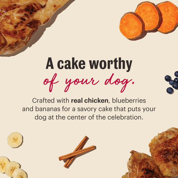 The Honest Kitchen Birthday Cake Mix with Chicken & Blueberries, additional view 1