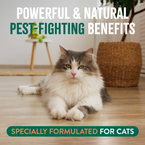 TropiClean Natural Flea + Tick Waterless Shampoo for Cats, 7.4 oz, additional view 2