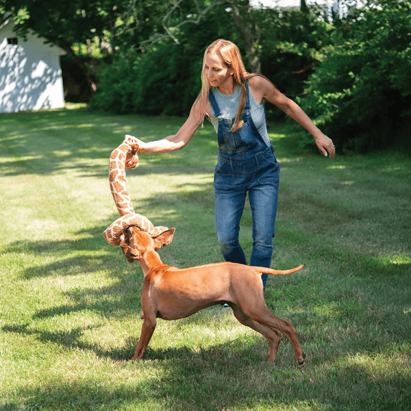 fabdog Twisty Giraffe Dog Toy, 5 ft, additional view 1