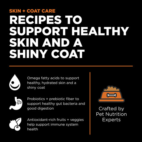 GO! Solutions Skin + Coat Care Grain-Free Salmon Recipe Dry Cat Food (Special Order), additional view 3
