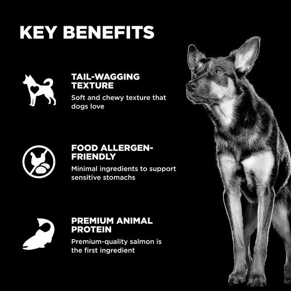 GO! Solutions Sensitivities Benefit Chews Limited Ingredient Salmon Dog Treats, additional view 2