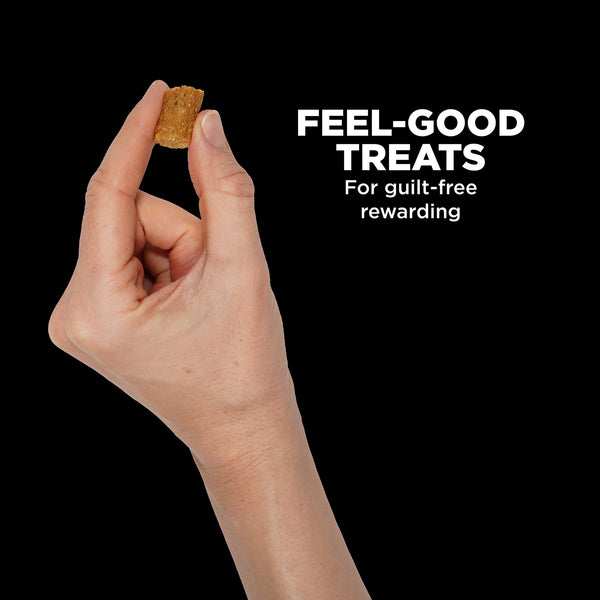 GO! Solutions Sensitivities Benefit Chews Limited Ingredient Salmon Dog Treats, additional view 3